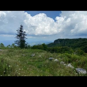 Meet your Posher, Joy